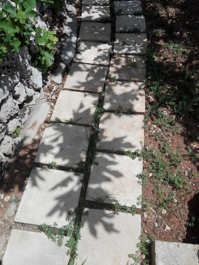 Palacca, Trullo Salentino Андрано Екстериор снимка