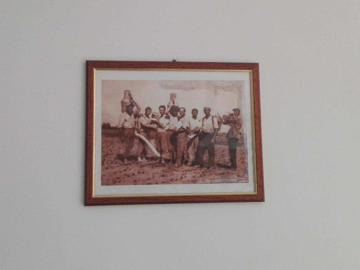Palacca, Trullo Salentino Андрано Екстериор снимка