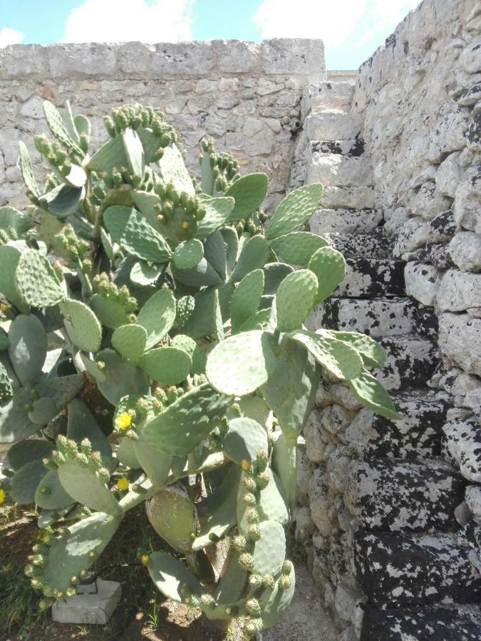 Palacca, Trullo Salentino Андрано Екстериор снимка
