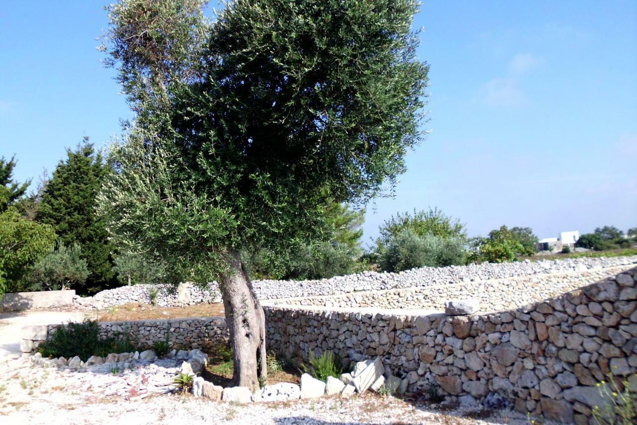 Palacca, Trullo Salentino Андрано Екстериор снимка