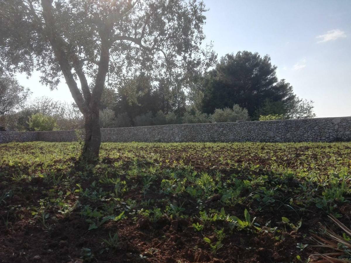Palacca, Trullo Salentino Андрано Екстериор снимка